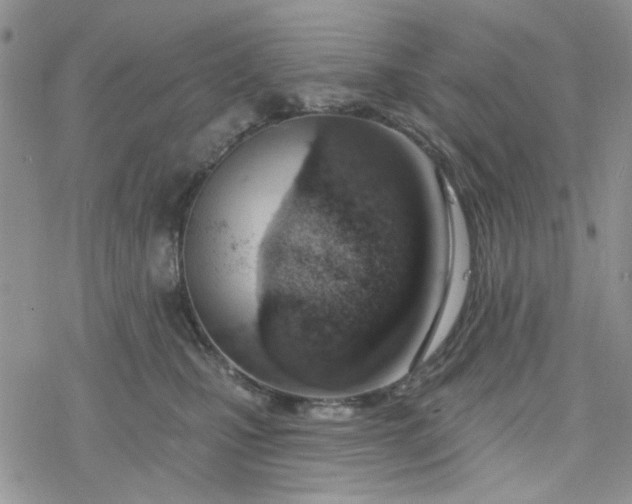 X0000078230471200611171438