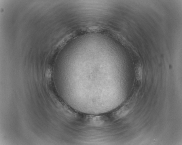 X0000078230472200611171438