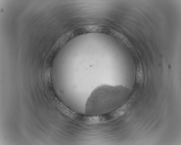 X0000078230473200611171438