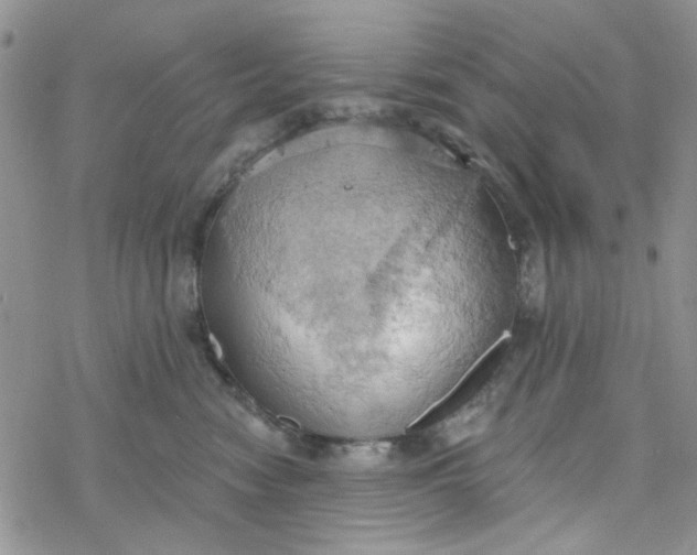 X0000078230474200611171438