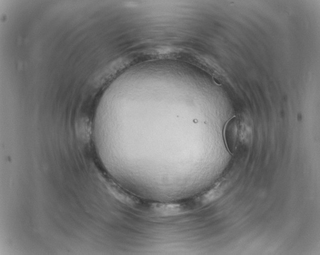 X0000078230476200611171438