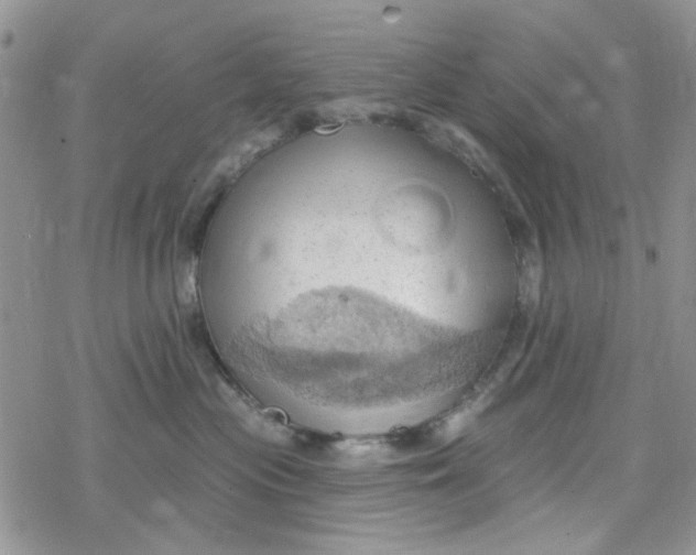 X0000078230477200611171438