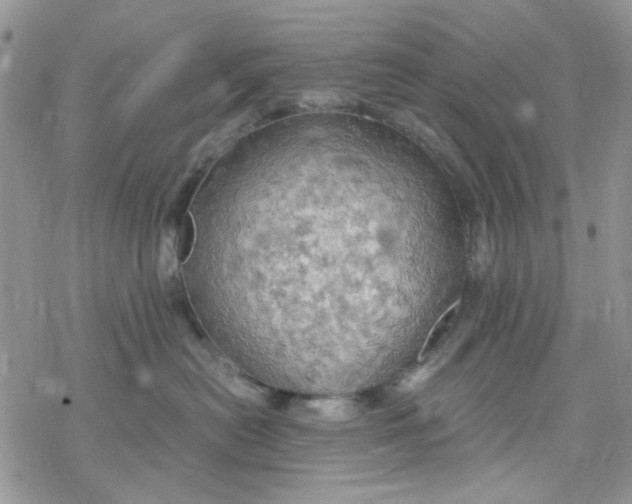 X0000078230478200611171438