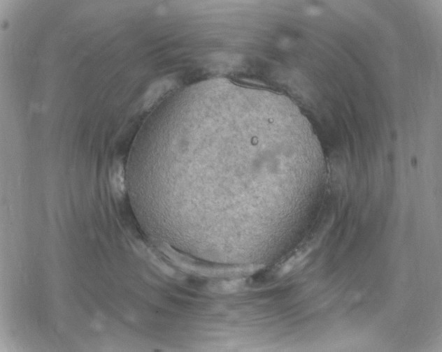 X0000078230479200611171438