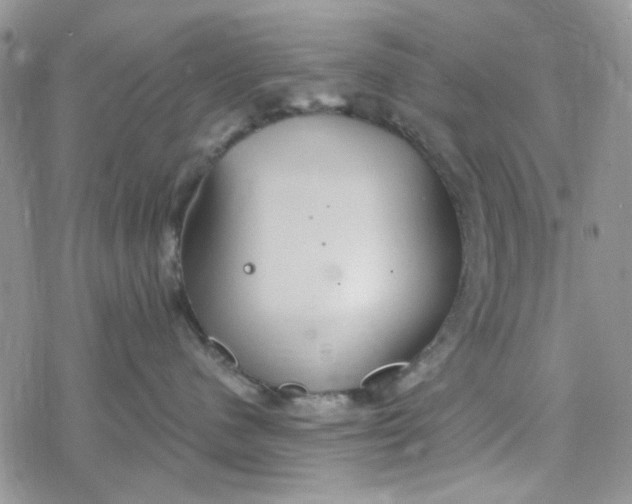 X0000078230480200611171438