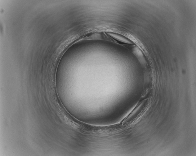 X0000078230481200611171437