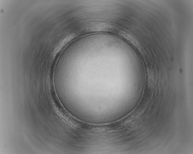 X0000078230482200611171437