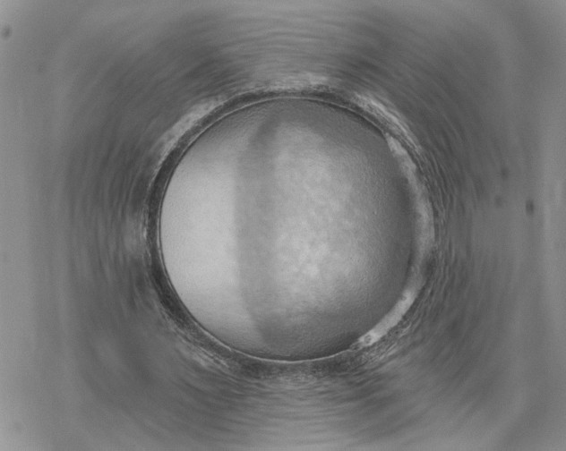 X0000078230483200611171437