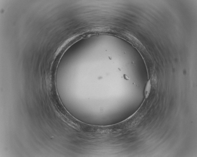 X0000078230484200611171437