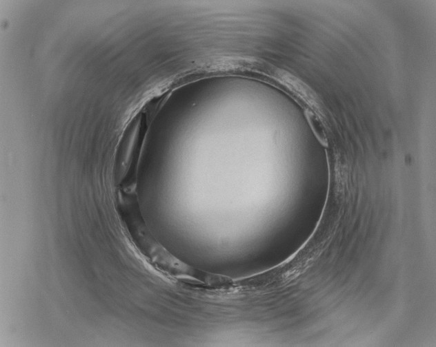 X0000078230485200611171437