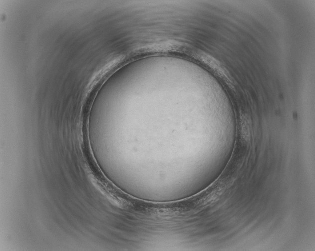 X0000078230486200611171437