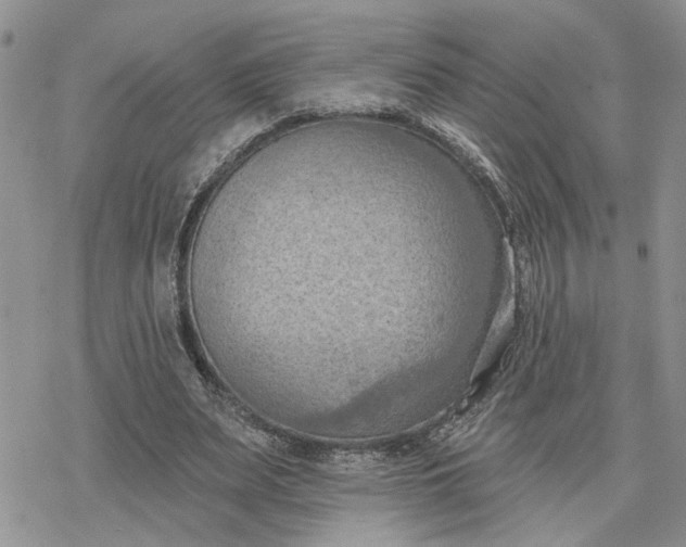 X0000078230487200611171437