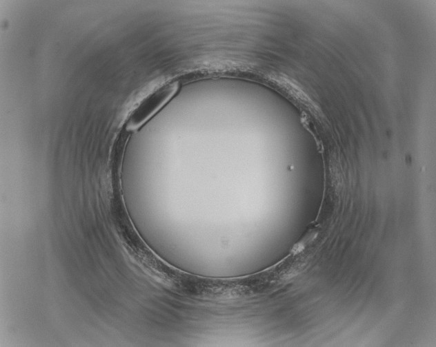 X0000078230488200611171437