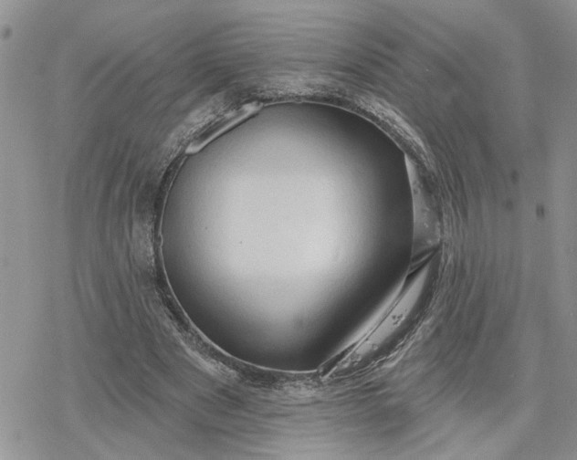 X0000078230489200611171437