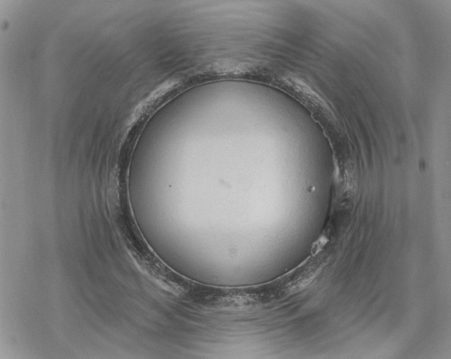 X0000078230492200611171437