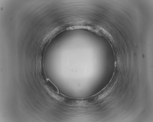 X0000078230493200611171437