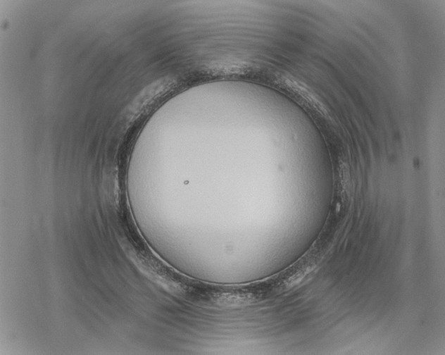 X0000078230494200611171437