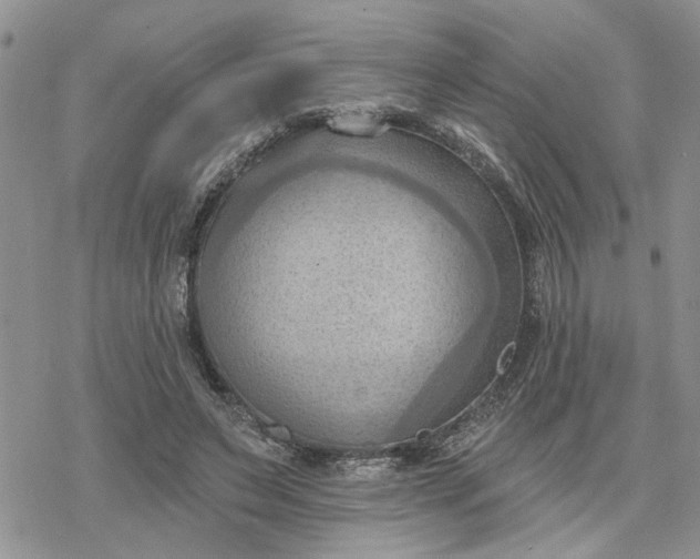 X0000078230495200611171437