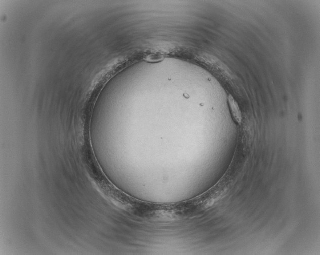 X0000078230496200611171437