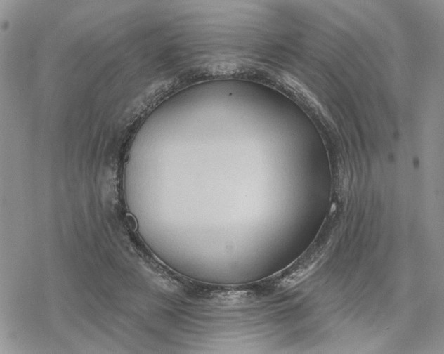 X0000078230497200611171437