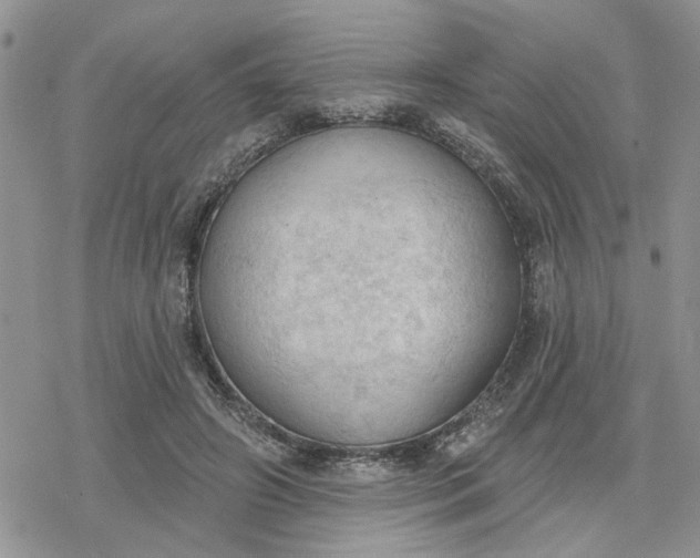 X0000078230498200611171437