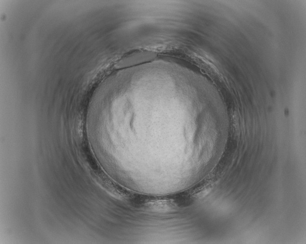 X0000078230499200611171437