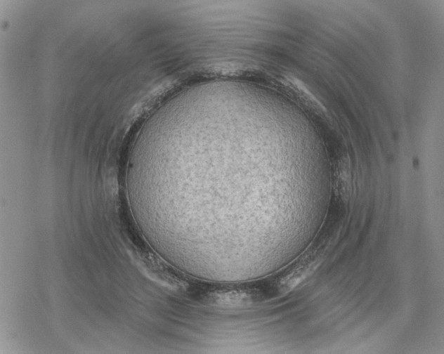 X0000078230500200611171437