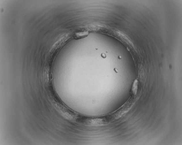 X0000078230501200611171437