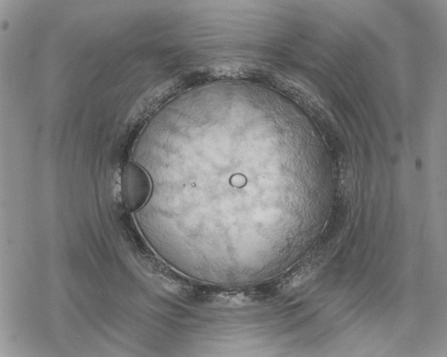 X0000078230502200611171437