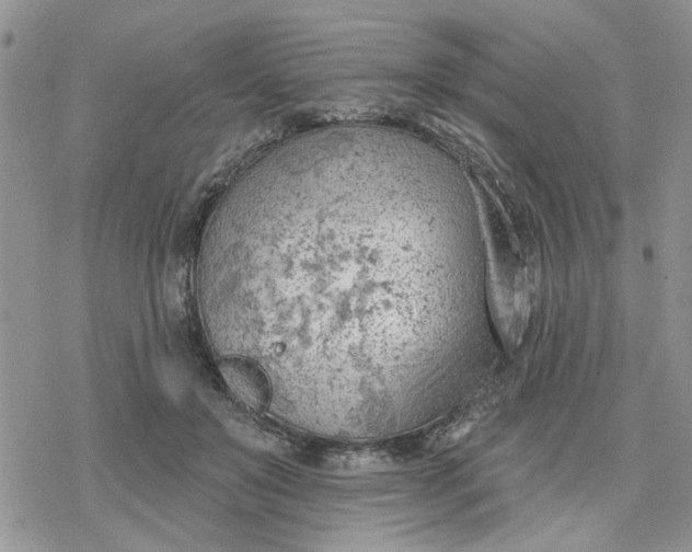 X0000078230503200611171437