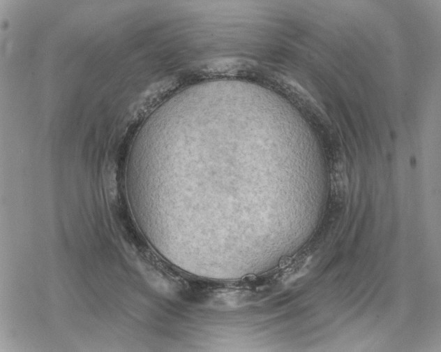 X0000078230504200611171437