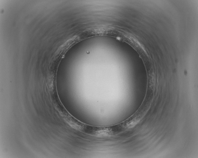 X0000078230505200611171437