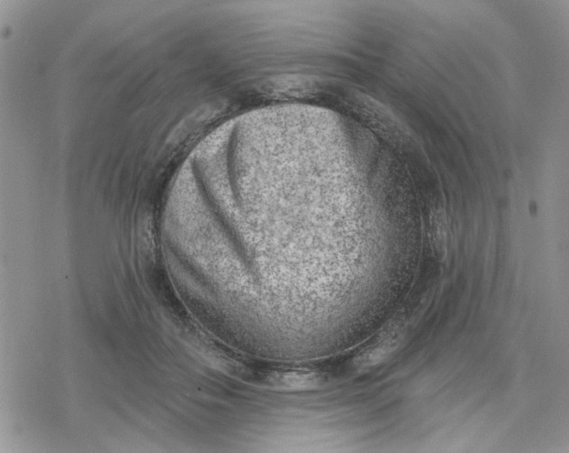 X0000078230506200611171437