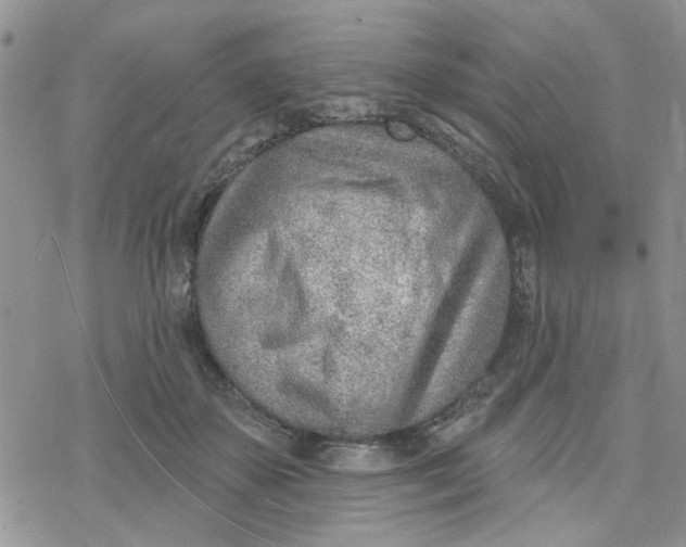 X0000078230507200611171437