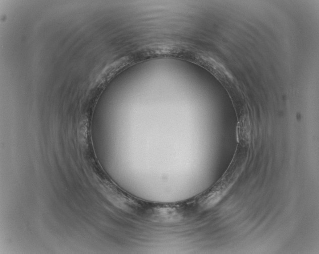 X0000078230509200611171437