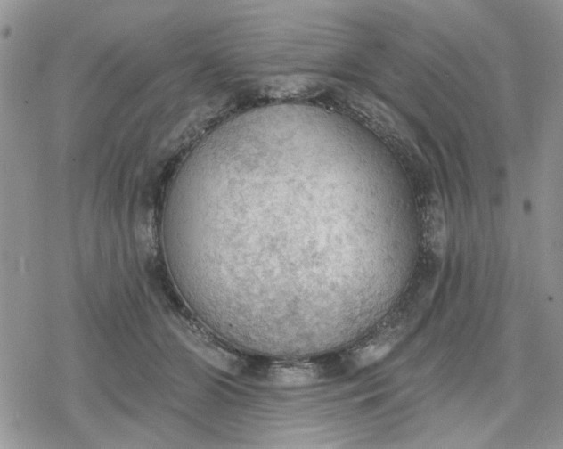 X0000078230510200611171437