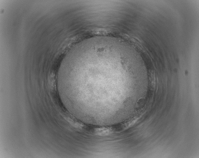 X0000078230511200611171437