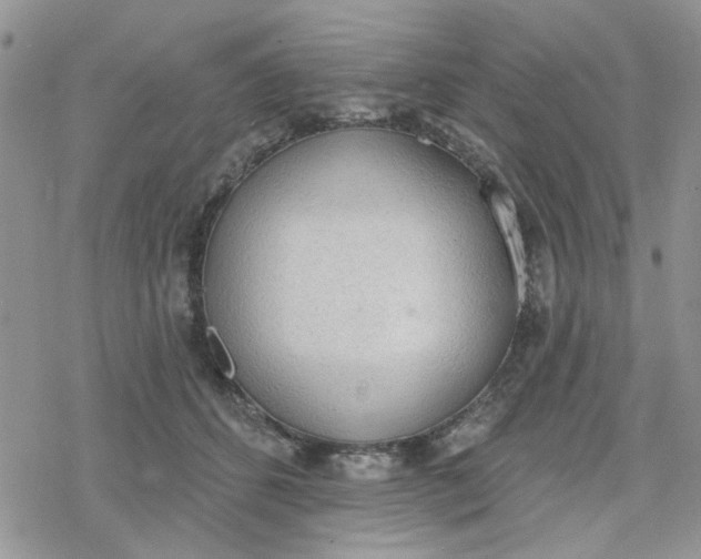 X0000078230512200611171437