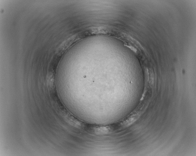 X0000078230513200611171437