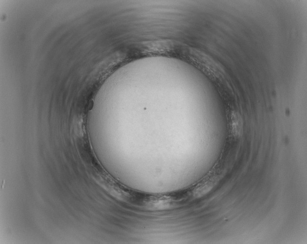 X0000078230514200611171437