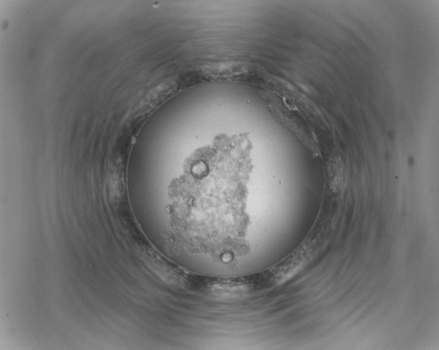 X0000078230515200611171437