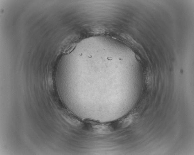 X0000078230516200611171437