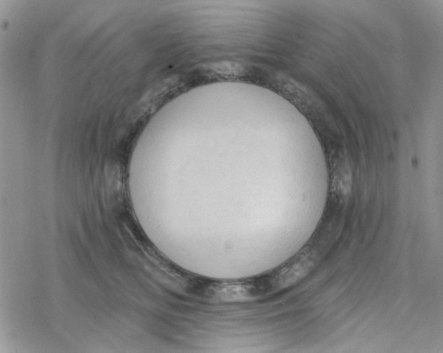 X0000078230518200611171437