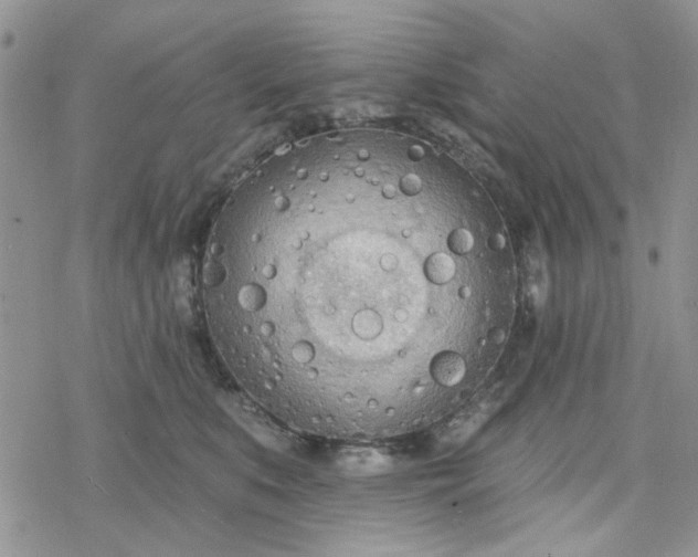 X0000078230519200611171437