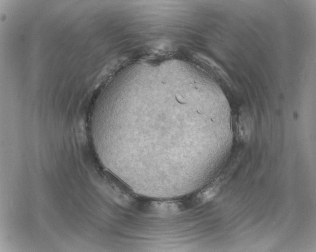 X0000078230520200611171437