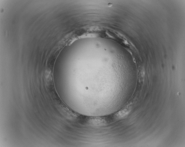 X0000078230521200611171437