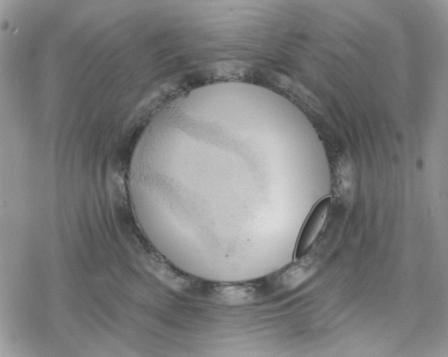 X0000078230522200611171437