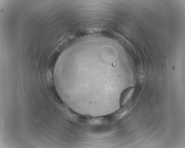 X0000078230523200611171437