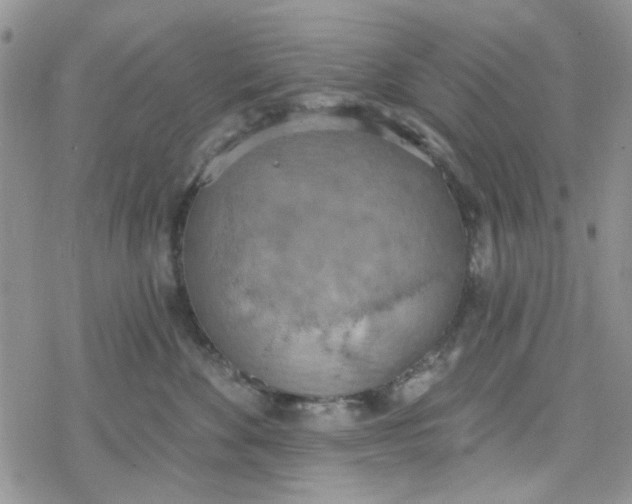 X0000078230524200611171437