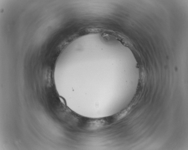 X0000078230525200611171437